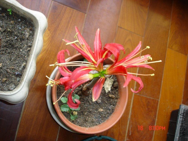 ��Ƭ0313 110.jpg