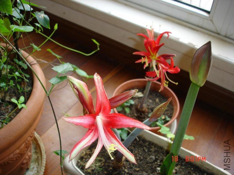 ��Ƭ0313 111.jpg