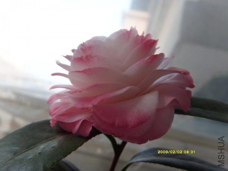 S73R1584.JPG
