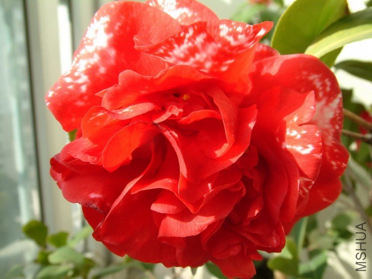 Picture 002_resize.jpg
