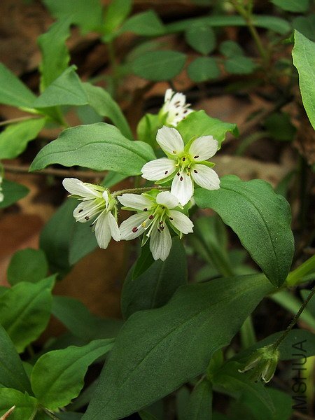 102_5534.jpg