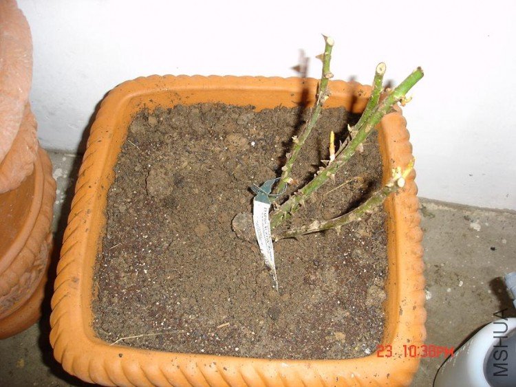 ��Ƭ0313 146.jpg