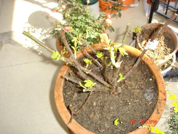 ��Ƭ0313 138.jpg