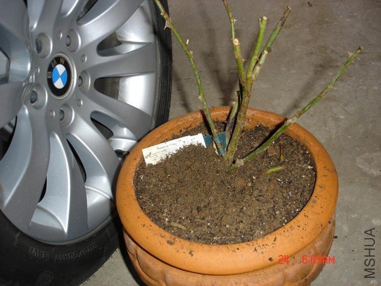 ��Ƭ0313 148.jpg