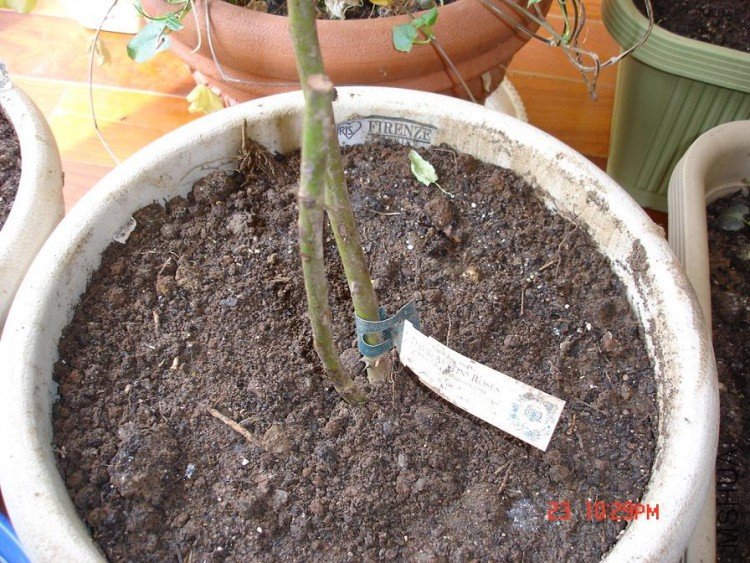 ��Ƭ0313 134.jpg