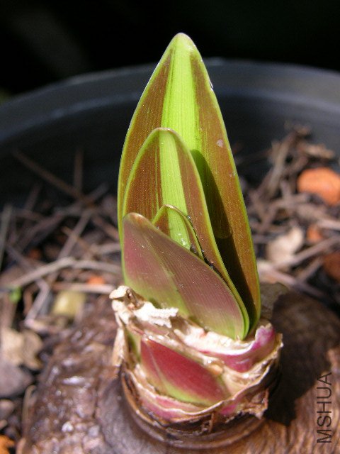 DSCN3752.JPG