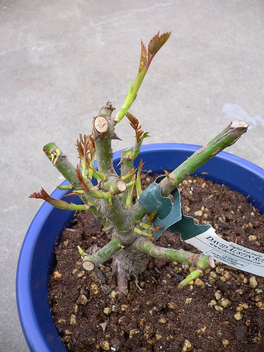 ��ת P1060018.jpg