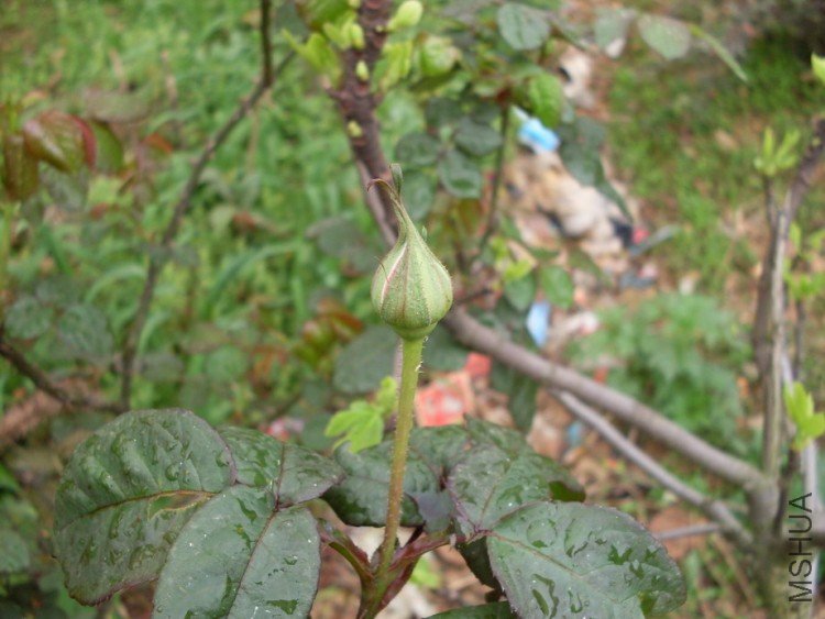 ǿ׳�ߴ�Ĺ�ľ�¼����쿪��