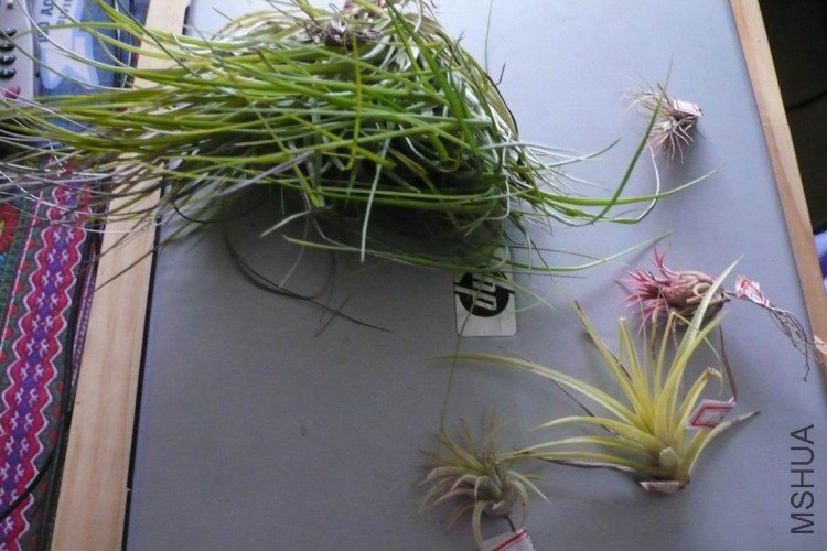 ������С 09-03-28 061.jpg