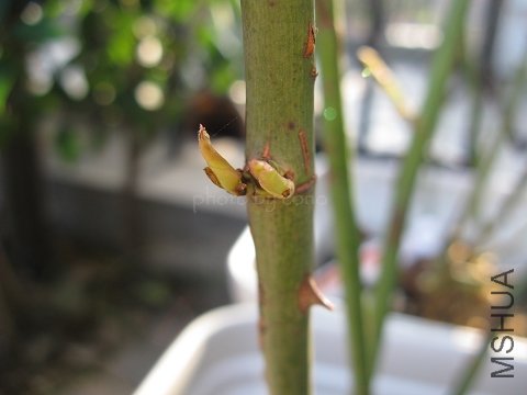 nEO_IMG_IMG_0629.jpg