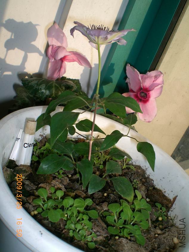 ������С ��ת CIMG4000.JPG