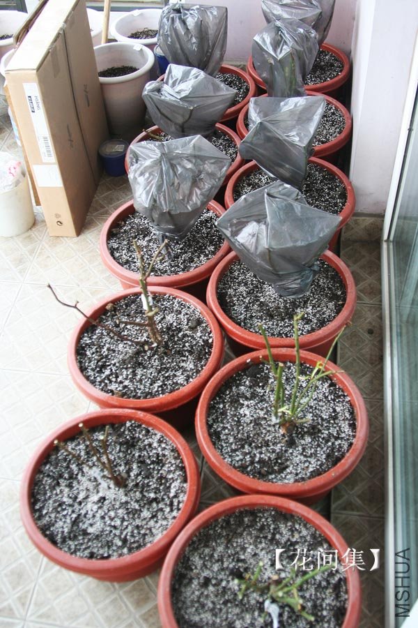 IMG_3027 ����.jpg