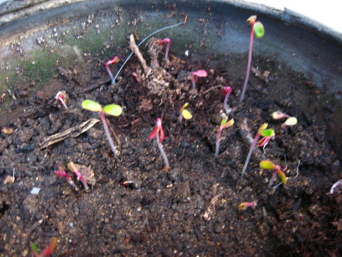 2009_03_27 002_1.jpg