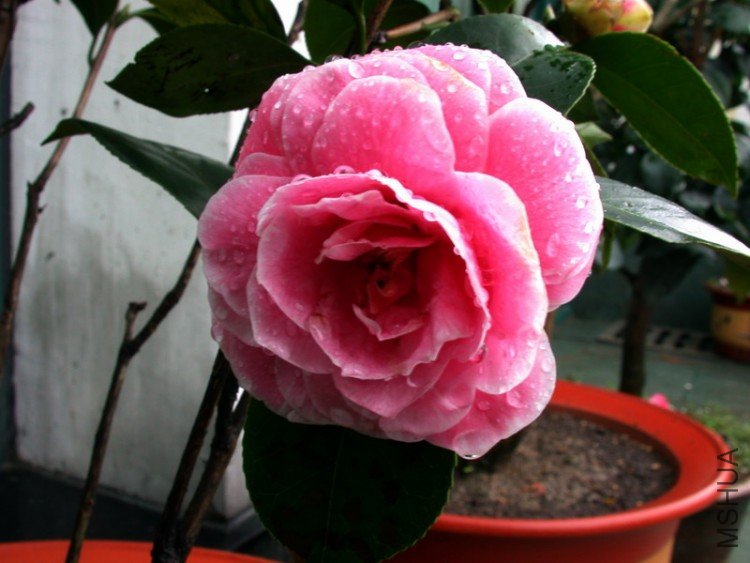 DSCN3541.JPG