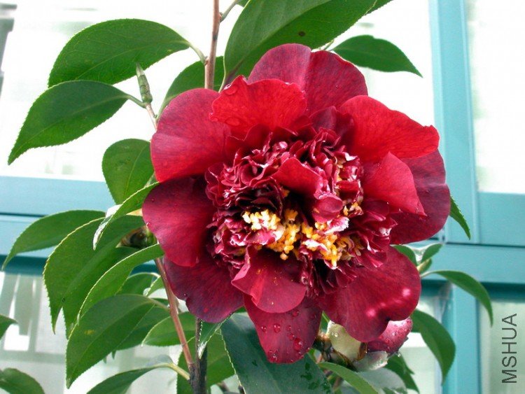 DSCN3510.jpg