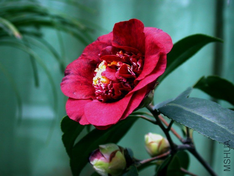 DSCN3532.JPG