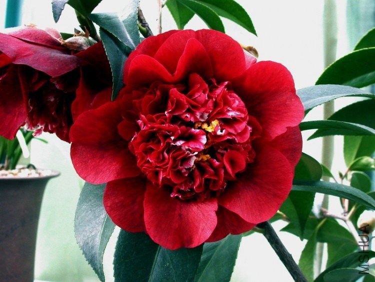 DSCN3534.JPG