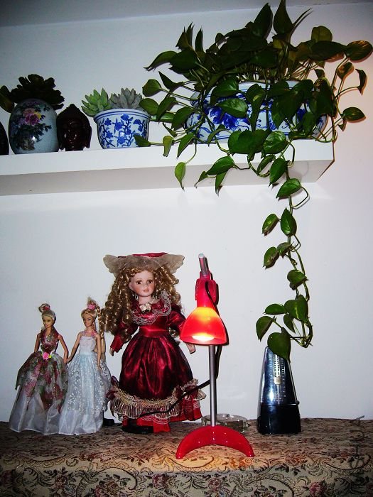 ������������ܸ�����һ������