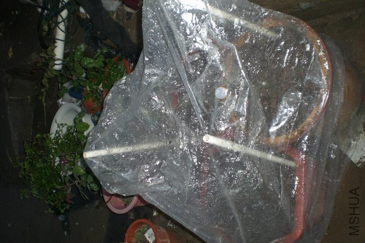 ��������һ��һҹ����