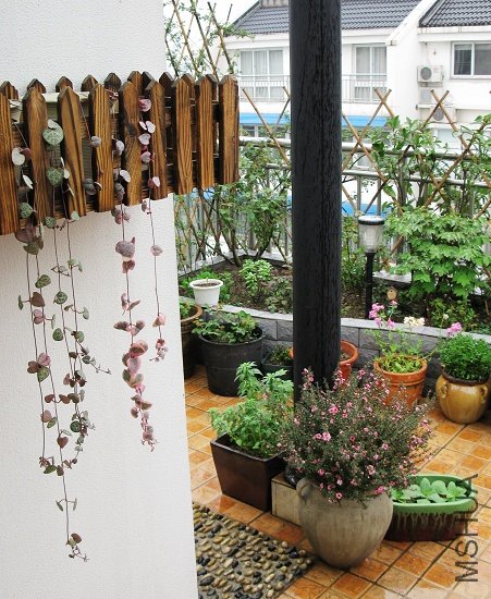 �İ��İ�֮��