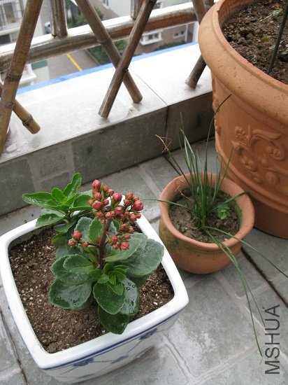 �ֳ�����С����ҲҪ������