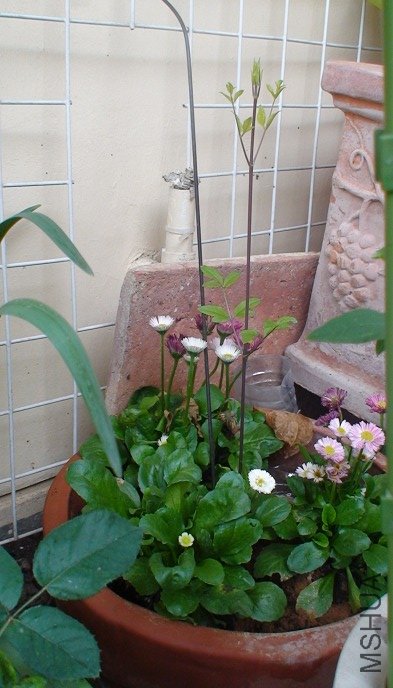 3-27�յķ���, ������ʮ��, ���úܿ��!