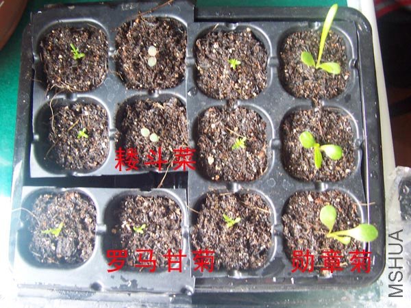 ѫ�¾գ������ʾգ��ﶷ��