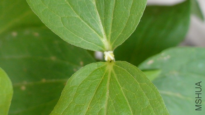 3-11��, ��Ȼ�����˻���!