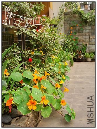 nEO_IMG_DSC07743.jpg