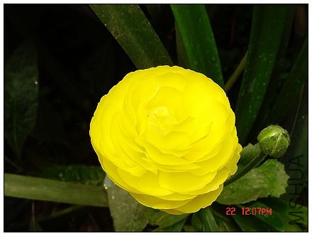 nEO_IMG_DSC07732.jpg