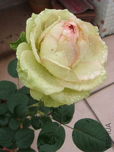 TN_DSC07068.JPG