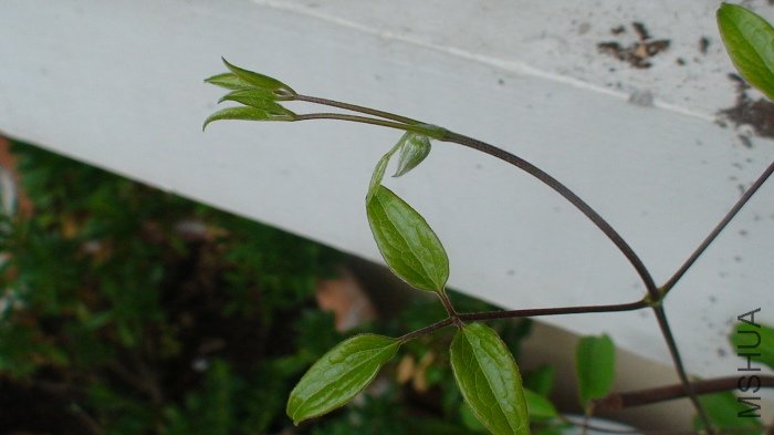 2-13��, �󻨰���д.