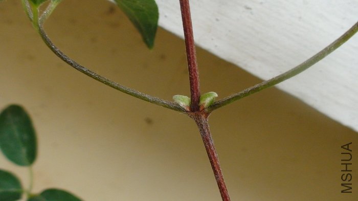 3-23�ն�������һ�Բ��������ѿ.