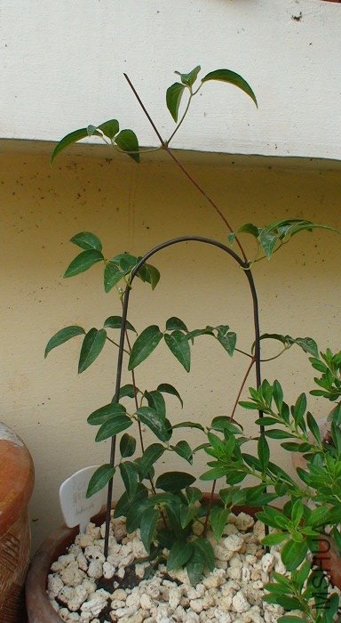 3-18��, ����һ��ʱ������.