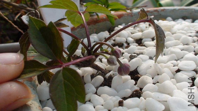 1-22��, ��ʮ����ʱ������, �����ֳ�����һ��