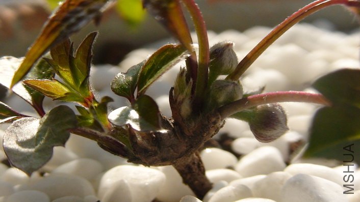 ���濴������.