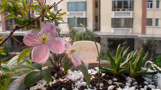 2-10��, ��ʮ����ʱ, ����ȫ����!