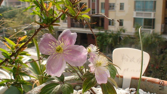 ����һ�ſ���.