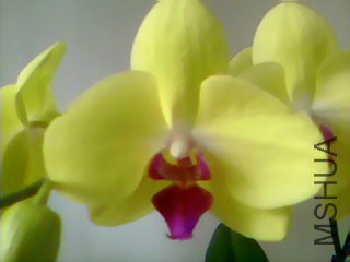 20090325091844.jpg