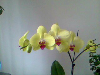 20090325091658.jpg