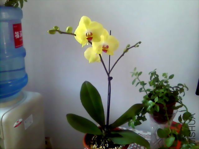 20090314152832.jpg