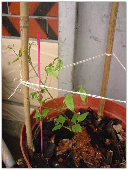 �����ٽ����ı�ס���ӡ�