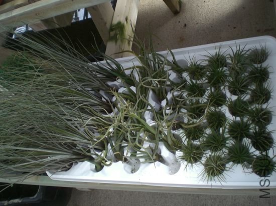 �շ�,�ܱ���,ͳһ�۸�,��������20����.