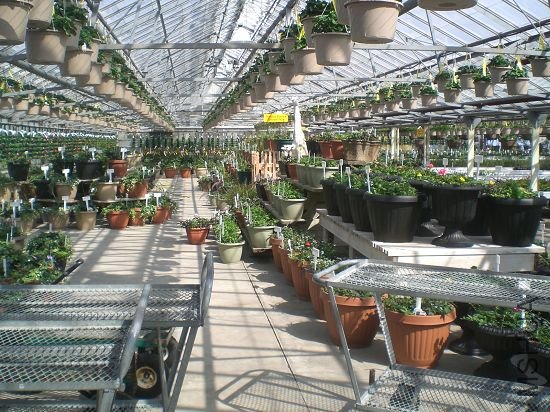 ����һ�����һ�����·�,�ֵĶ��ǲݻ������,��������,ȴ���˲���,���۸�Ҳ���Ҫ��