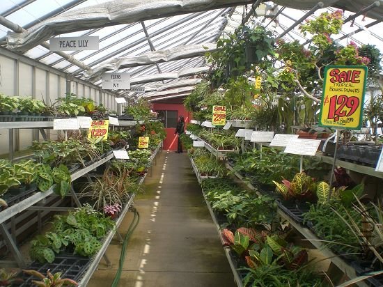 һ�����·�,Ʒ��Ҳ����.��������ѩ�����������ҵ���.