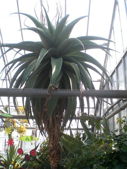 ��ú��������׸���.