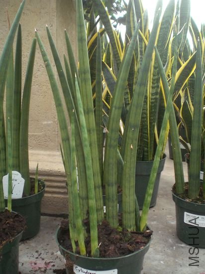 �����֪����ʲô����,��ǰ��û����,Բ���ε�