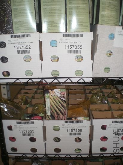 ��Ȼ��¬��ĸ���,���������ٷ�ѿҪ�������.�벻����.