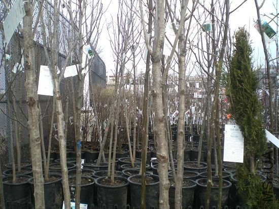 ���ֻ�������Ҳ������,����ů��һ��,��Ҫ���ӣ��