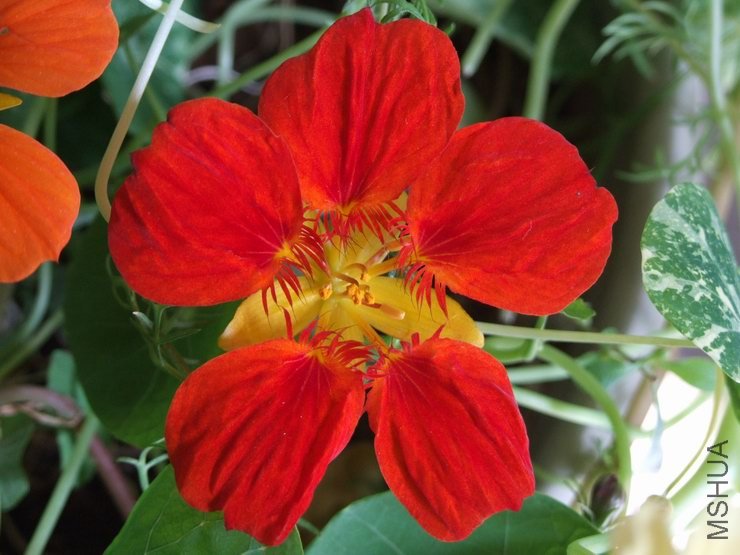 ������С С��c191.JPG